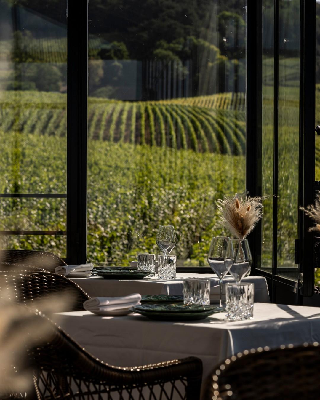 Dîner face aux vignes © chateaudesacyreims